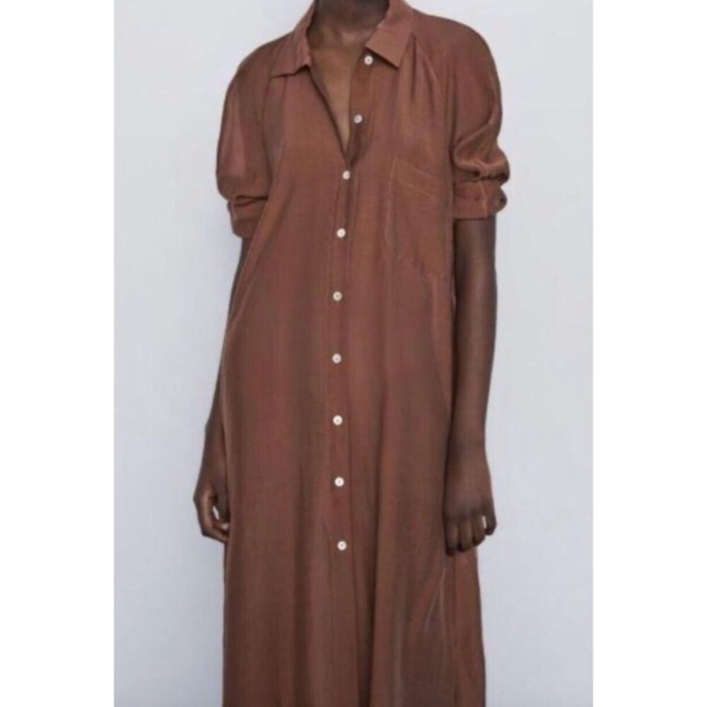 Brown Semi Sheer Button-Front Shirt Dress